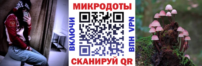Галлюциногенные грибы Psilocybine cubensis  Карталы 
